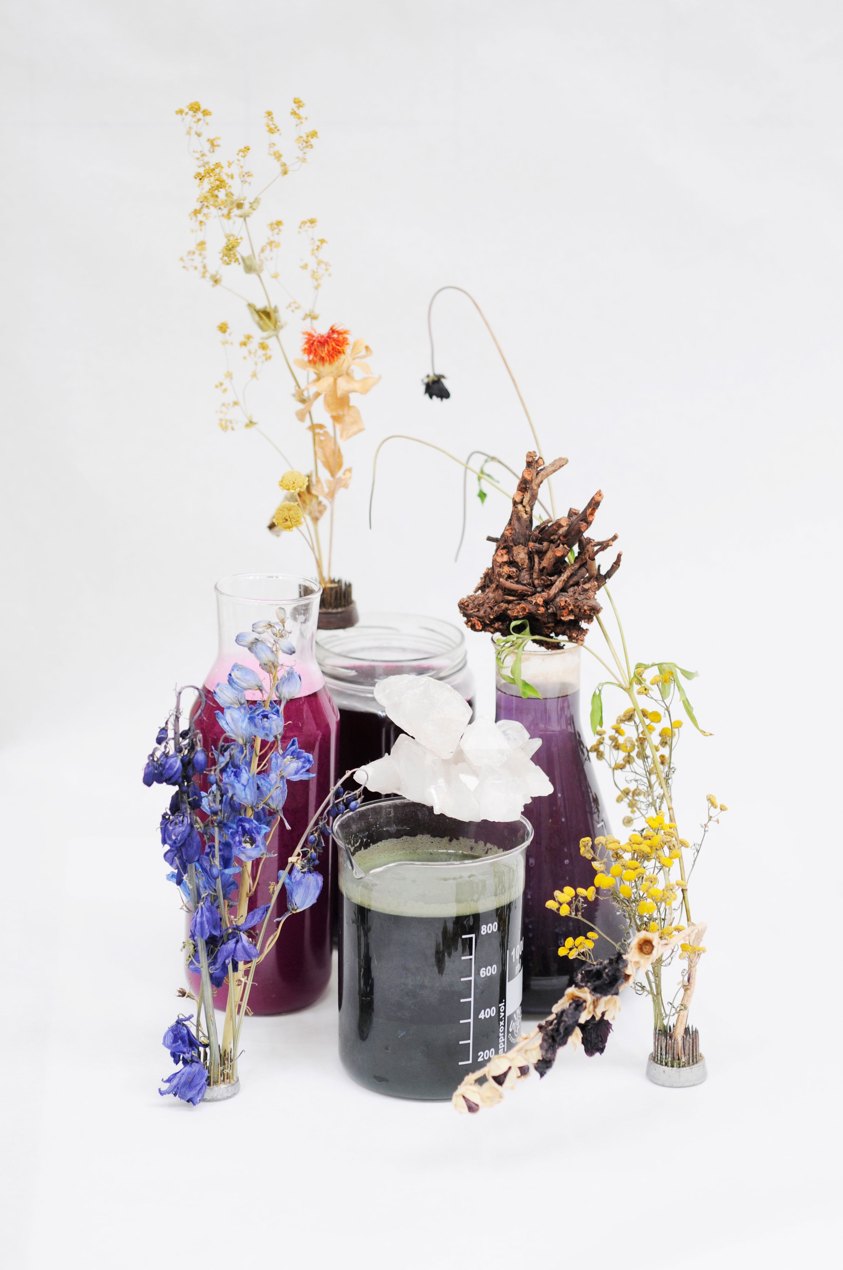 Farbstoffe, Musterstreifen und Proben mit Pflanzenfarben von Nou